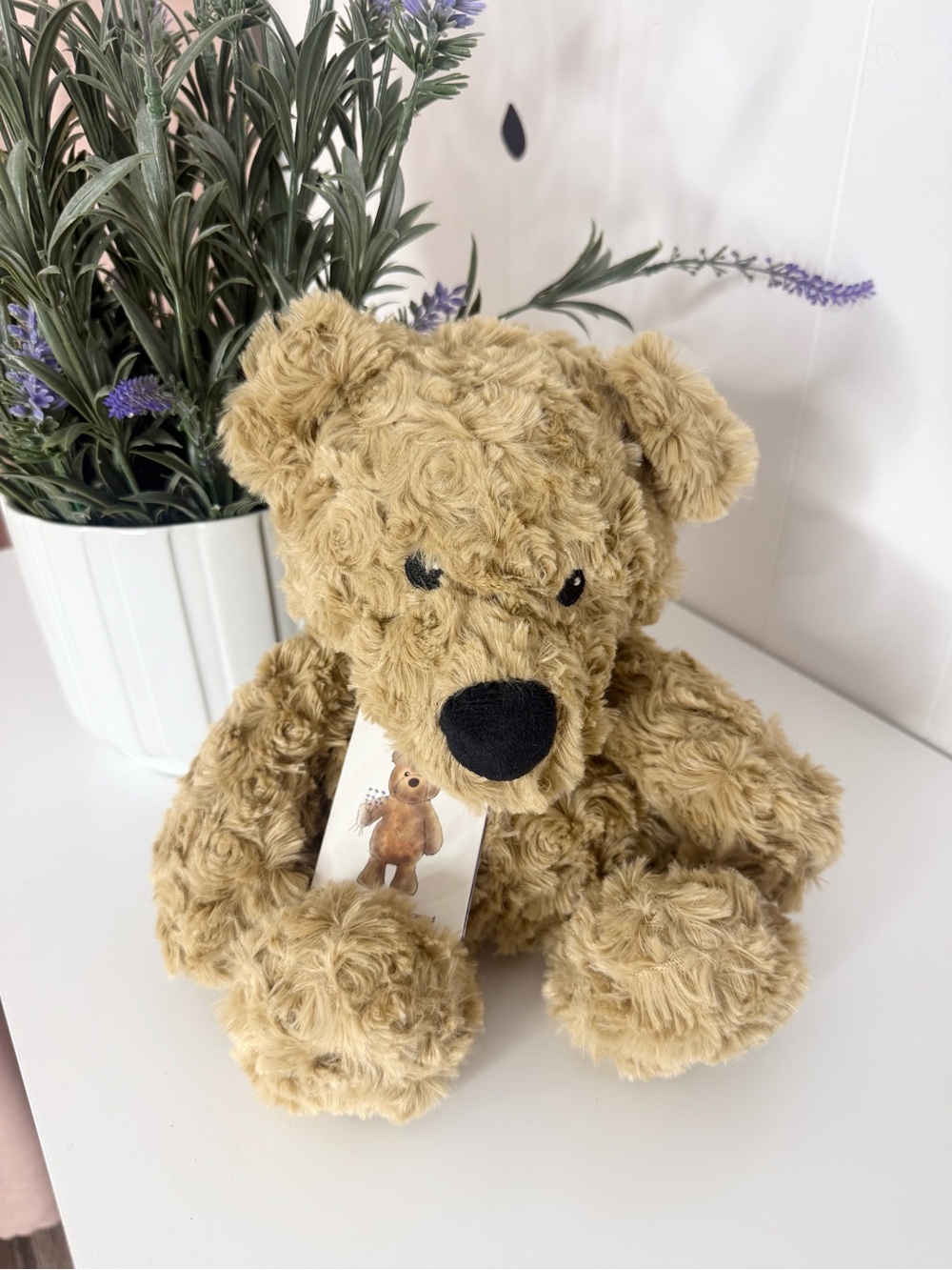 Warmies Plush Teddy Bear in Light Brown with Black Nose BIN#9